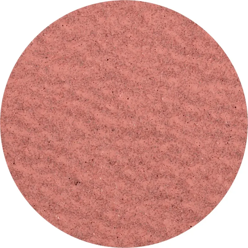 CDR 50 A-COOL 60 42772506 Schleifblatt Körnung (num) 60 (Ø) 50 mm 100 St. de PFERD – image du produit 1 sur 2
