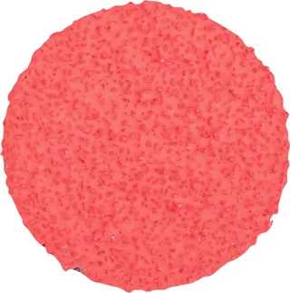 CDR 50 CO-COOL 24 42776502 Schleifblatt Körnung (num) 24 (Ø) 50 mm 100 St. von PFERD – Produktbild 1 von 2