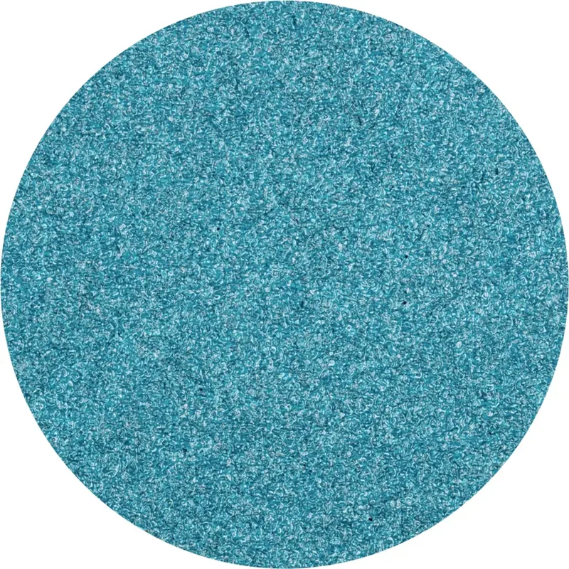 CDR 50 Z 60 42773506 Schleifblatt Körnung (num) 60 (Ø) 50 mm 100 St. de PFERD – image du produit 1 sur 2