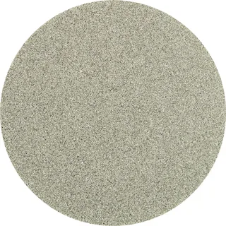 TOOLS CDR DIA 50 D 126 - P 120 42758008 Feuille abrasive Grain 126 (Ø) 50 mm 10 pc(s) de PFERD – image du produit 1 sur 2