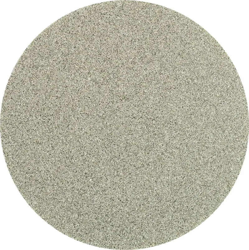 TOOLS CDR DIA 50 D 126 - P 120 42758008 Feuille abrasive Grain 126 (Ø) 50 mm 10 pc(s) de PFERD – image du produit 1 sur 2