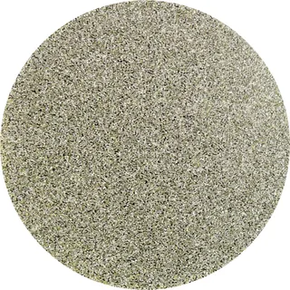 CDR DIA 50 D 251 - P 60 42758007 Schleifblatt Körnung (num) 251 (Ø) 50 mm 10 St. de PFERD – image du produit 1 sur 2