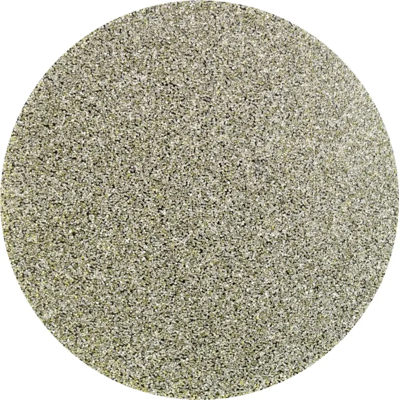 CDR DIA 50 D 251 - P 60 42758007 Schleifblatt Körnung (num) 251 (Ø) 50 mm 10 St. de PFERD – image du produit 1 sur 2