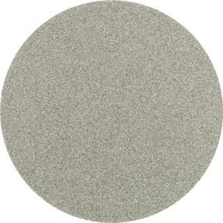 CDR DIA 50 D 76 - P 220 42758009 Schleifblatt Körnung (num) 76 (Ø) 50 mm 10 St. de PFERD – image du produit 1 sur 2