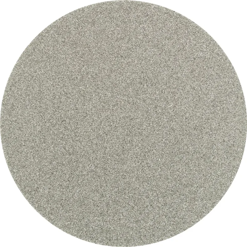 CDR DIA 50 D 76 - P 220 42758009 Schleifblatt Körnung (num) 76 (Ø) 50 mm 10 St. de PFERD – image du produit 1 sur 2