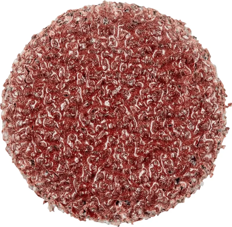 PSA 12 A 60 42832006 Schleifblatt Körnung (num) 60 (Ø) 12 mm 100 St. by PFERD – product image 1 of 2