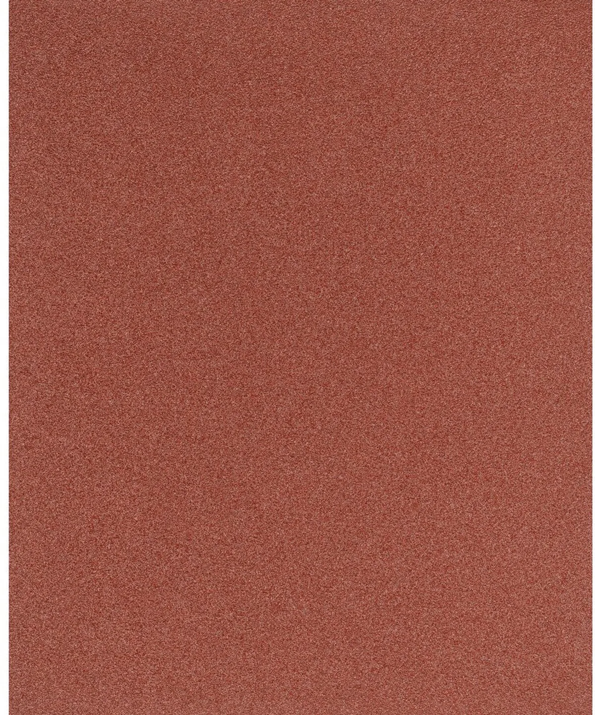Schuurvel - BG BR 230x280 A 60 van PFERD – productafbeelding