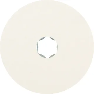 TOOLS 42003005 Schleifteller Durchmesser 100 mm de PFERD – image du produit 1 sur 2