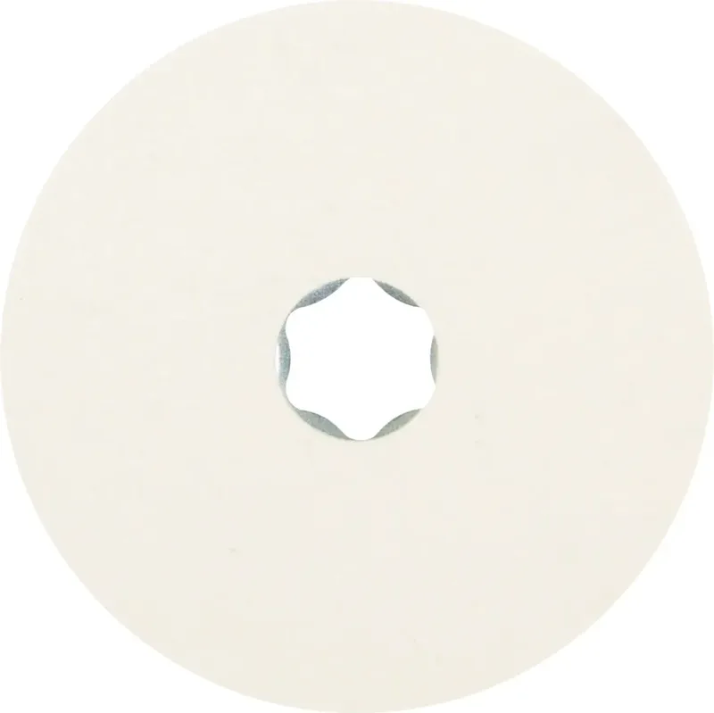 TOOLS 42003005 Schleifteller Durchmesser 100 mm by PFERD – product image