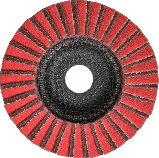 TOOLS 44695112 Pvz Fächerschleifscheibe Durchmesser 125 mm Bohrungs-Ø 22.23 mm Körnung (num) 180 5 St. von PFERD – Produktbild 1 von 3