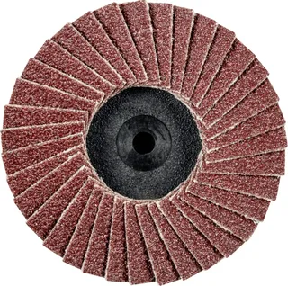 TOOLS 47202528 CDR PFF 50 A 60 Fächerschleifscheibe Durchmesser 50 mm Körnung (num) 60 Bronze, Titan, Titanlegierung, Kupfer, Messing, Edelstahl by PFERD – product image 1 of 2