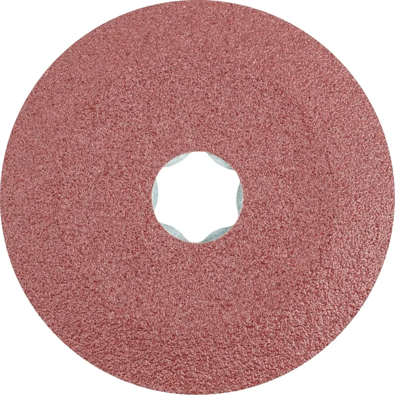 TOOLS 64189003 Schleifteller Durchmesser 100 mm de PFERD – image du produit