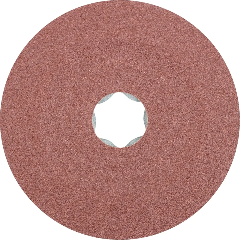 TOOLS 64189004 Schleifteller Durchmesser 100 mm by PFERD – product image
