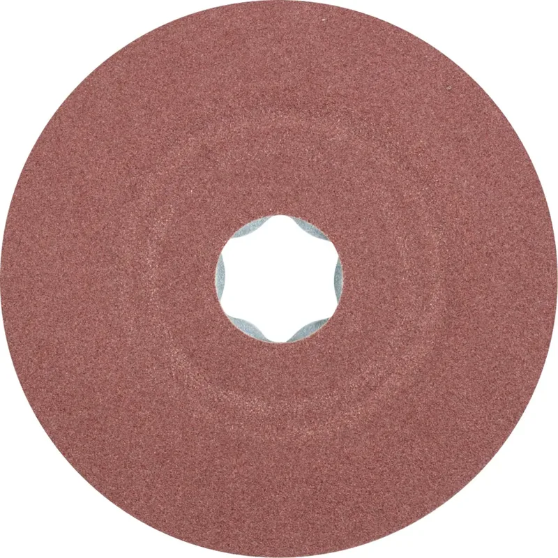 TOOLS 64189005 Schleifteller Durchmesser 100 mm by PFERD – product image