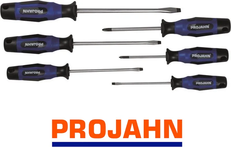 4621 Projahn schroevendraaierset 6 delig kruiskopschroeven PH + platte kop. van PROJAHN, Blauw – productafbeelding