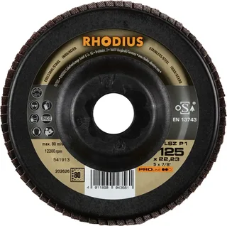 Rhodius 202626 LSZ P1 Disque segmenté Grain 80 acier inoxydable, acier 10 pc(s) de Rhodius – image du produit 2 sur 2