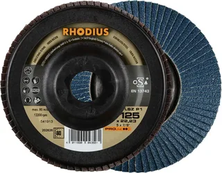 Rhodius 202626 LSZ P1 Disque segmenté Grain 80 acier inoxydable, acier 10 pc(s) de Rhodius – image du produit 1 sur 2