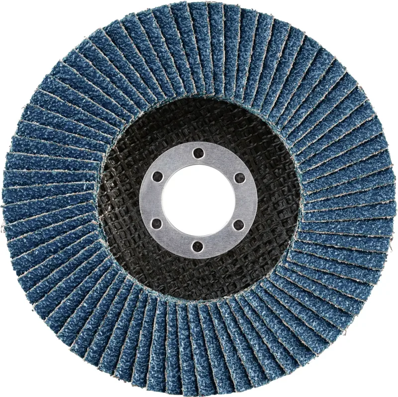 Rhodius 202820 LGZ F1 Disque segmenté Grain 40 acier inoxydable, acier 10 pc(s) de Rhodius – image du produit 2 sur 2