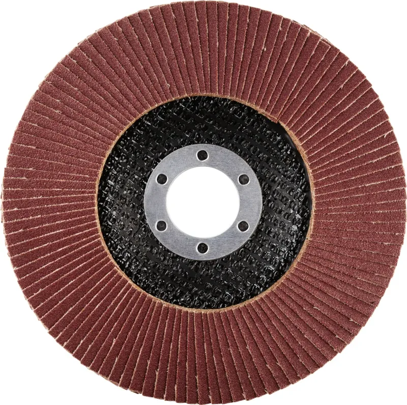 Rhodius 202860 LSA F1 Disque segmenté Grain 120 acier 10 pc(s) de Rhodius – image du produit 2 sur 2
