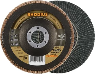 Rhodius 205501 LGZ F Fächerschleifscheibe Körnung (num) 80 Edelstahl, Stahl 10 St. von Rhodius – Produktbild 1 von 2