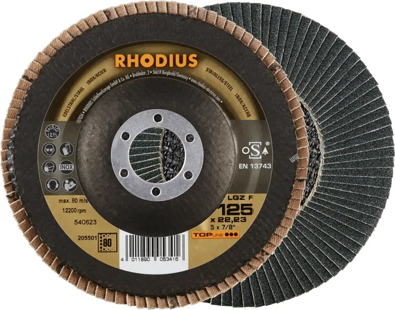 Rhodius 205501 LGZ F Fächerschleifscheibe Körnung (num) 80 Edelstahl, Stahl 10 St. von Rhodius – Produktbild 1 von 2