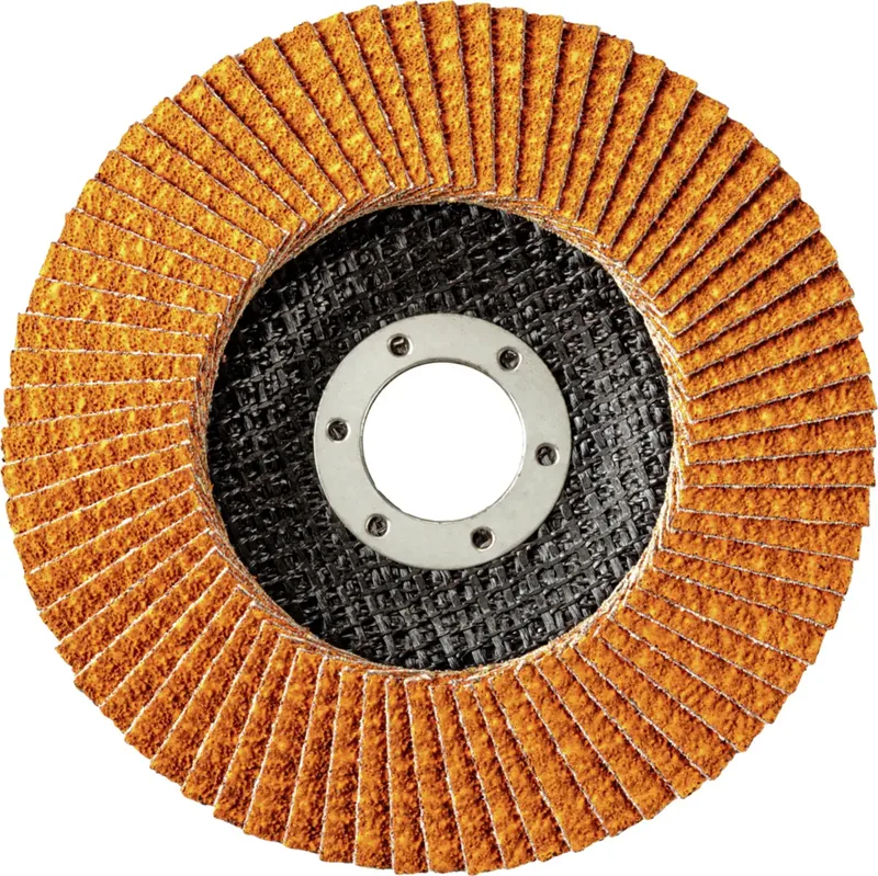 Rhodius 208741 JUMBO LONGLIFE EXTENDED Fächerschleifscheibe Körnung (num) 60 Edelstahl, Stahl 10 St. von Rhodius – Produktbild 2 von 2