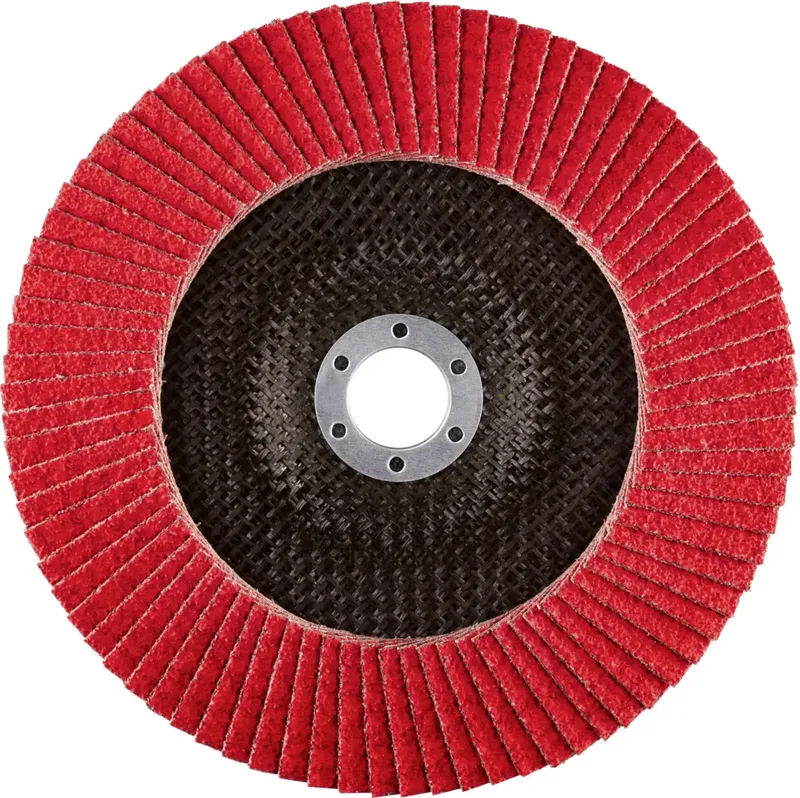 Rhodius 209812 JUMBO SPEED Disque segmenté Grain 40 acier inoxydable, acier 10 pc(s) de Rhodius – image du produit 2 sur 2