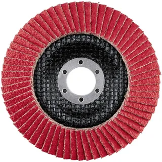 Rhodius 210182 LSK FK Disque segmenté Diamètre 125 mm Ø de perçage 22.23 mm Grain 40 acier inoxydable 1 pc(s) de Rhodius – image du produit 2 sur 2