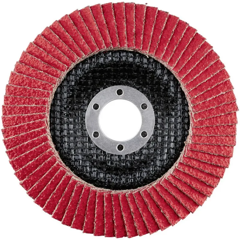 Rhodius 210182 LSK FK Disque segmenté Diamètre 125 mm Ø de perçage 22.23 mm Grain 40 acier inoxydable 1 pc(s) de Rhodius – image du produit 2 sur 2
