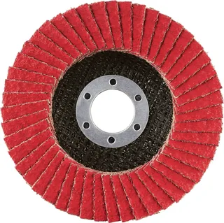 Rhodius 210619 JUMBO SPEED G Fächerschleifscheibe Körnung (num) 40 Edelstahl, Stahl 10 St. von Rhodius – Produktbild 2 von 2