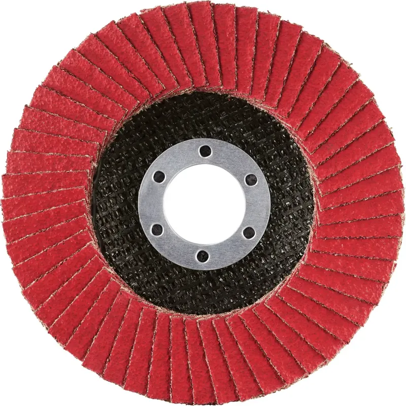Rhodius 210620 JUMBO SPEED G Disque segmenté Grain 60 acier inoxydable, acier 10 pc(s) de Rhodius – image du produit 2 sur 2