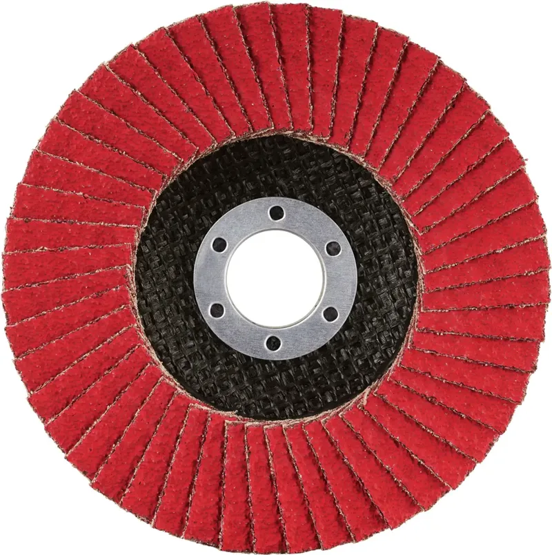 Rhodius 210622 JUMBO SPEED G Disque segmenté Grain 40 acier inoxydable, acier 10 pc(s) de Rhodius – image du produit 2 sur 2