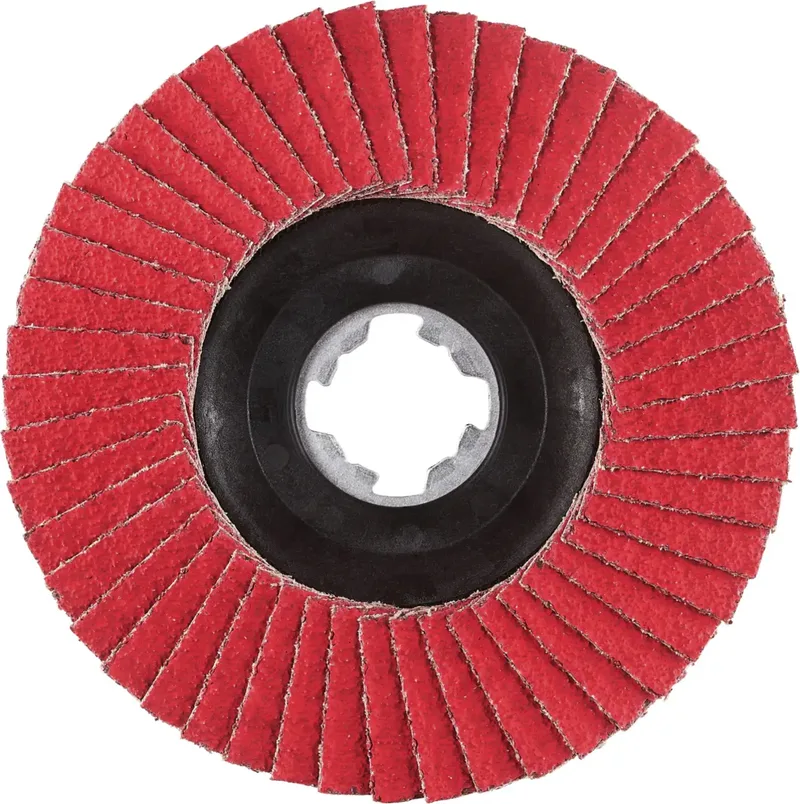 Rhodius 211398 JUMBO SPEED P X-LOCK Disque segmenté Grain 40 acier inoxydable, acier 10 pc(s) de Rhodius – image du produit 2 sur 2