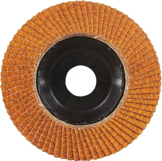 Rhodius 211409 JUMBO LONGLIFE TRIM Disque segmenté Grain 80 acier inoxydable, acier 10 pc(s) de Rhodius – image du produit 2 sur 2
