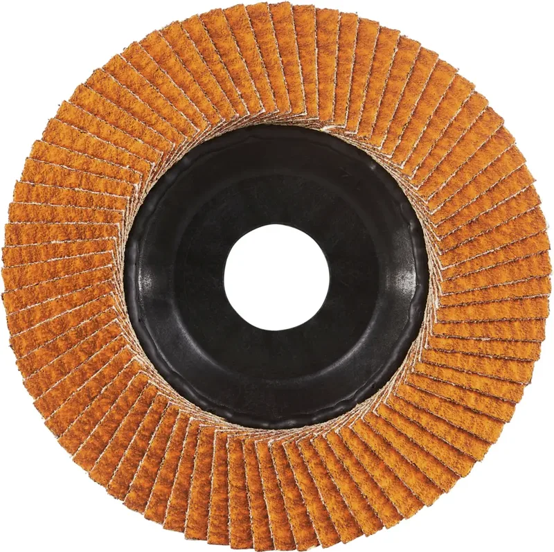 Rhodius 211409 JUMBO LONGLIFE TRIM Disque segmenté Grain 80 acier inoxydable, acier 10 pc(s) de Rhodius – image du produit 2 sur 2