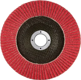 Rhodius 303919 JUMBO SPEED Fächerschleifscheibe Körnung (num) 40 Edelstahl, Stahl 10 St. van Rhodius – productafbeelding 2 van 2
