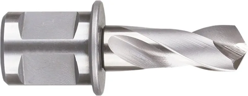 HSS-E SPIRAALBOOR, WELDON 19, Ø6X30 - 5389006 by Rotec – product image