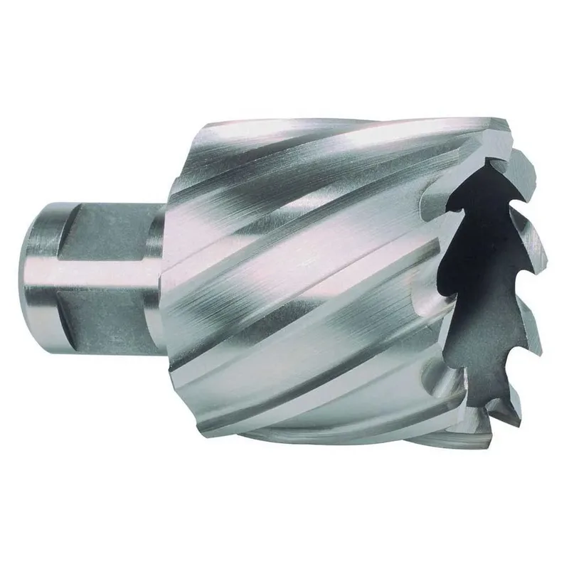 Kernbohrer HSS Co 5 mit Weldonschaft (3/4 Zoll) Durchmesser 13 mm von Ruko – Produktbild