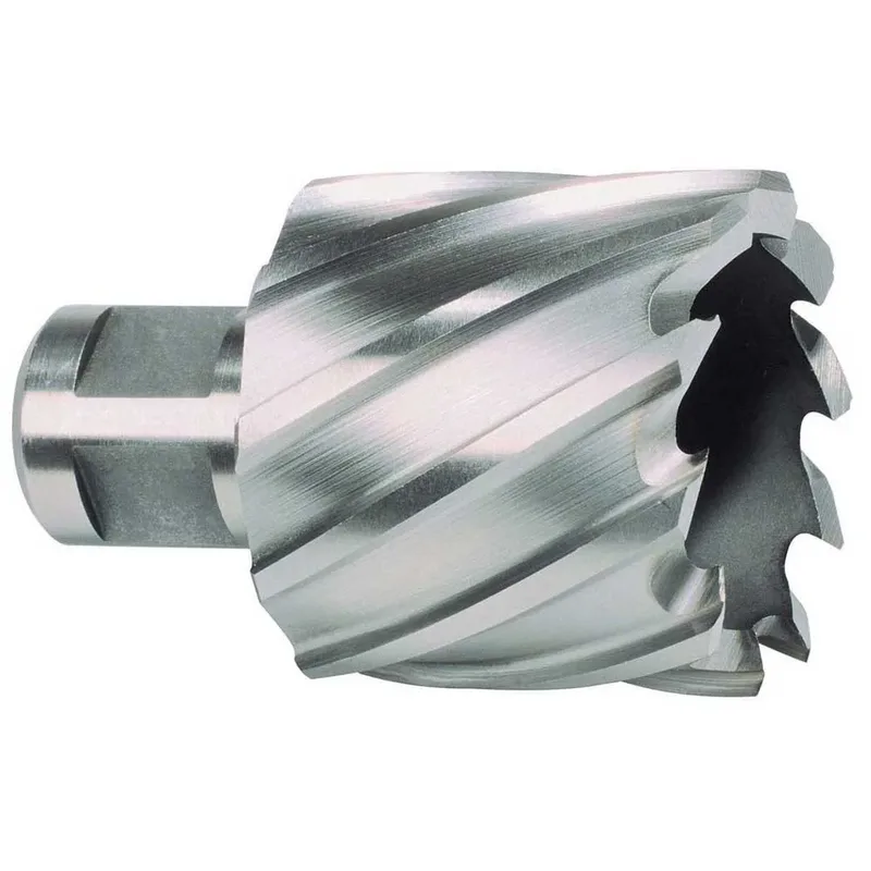 Kernbohrer HSS mit Weldonschaft (3/4 Zoll) Durchmesser 46 mm Schnitttiefe 30 mm von Ruko – Produktbild