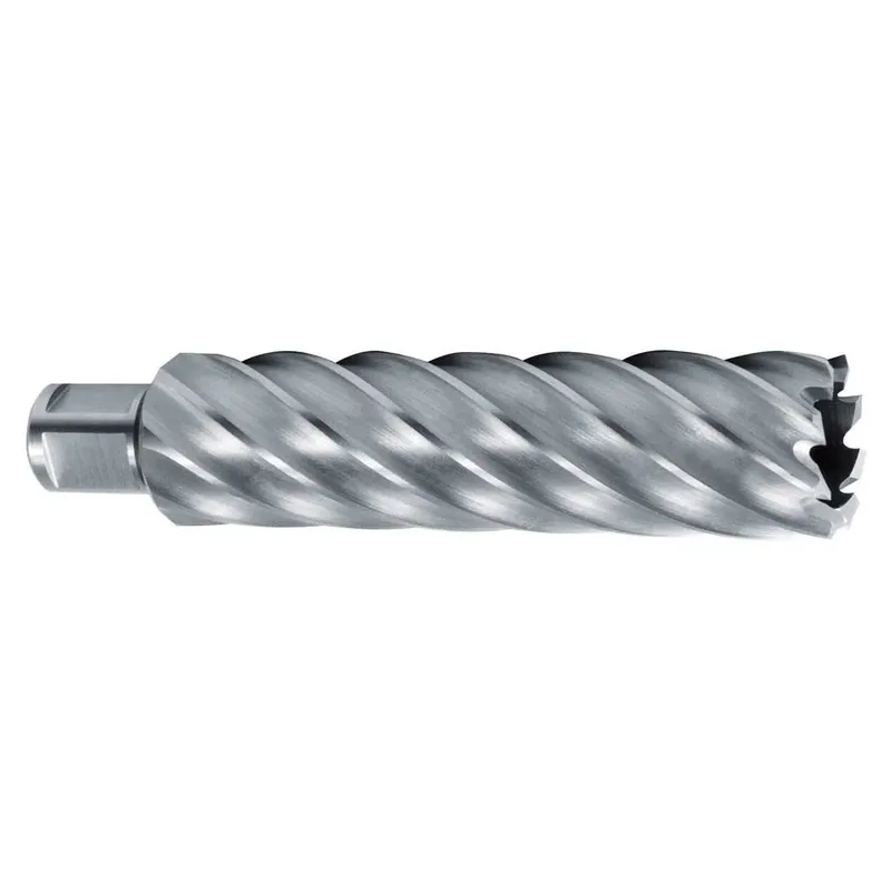 Hss Weldon Cbn 3/4´´ 110 Mm Ø 26 Mm Holle Boor by Ruko – product image