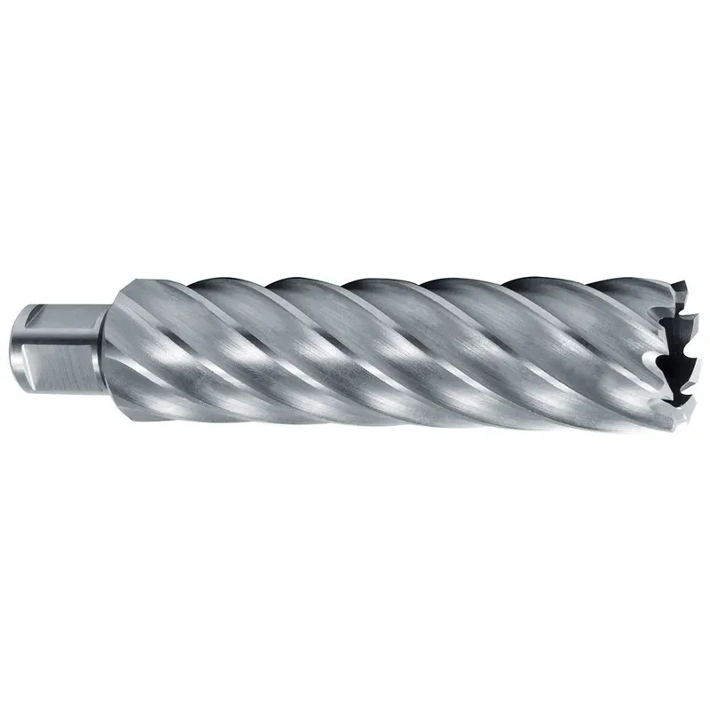 Hss Weldon Cbn 3/4´´ 110 Mm Ø 40 Mm Holle Boor by Ruko – product image