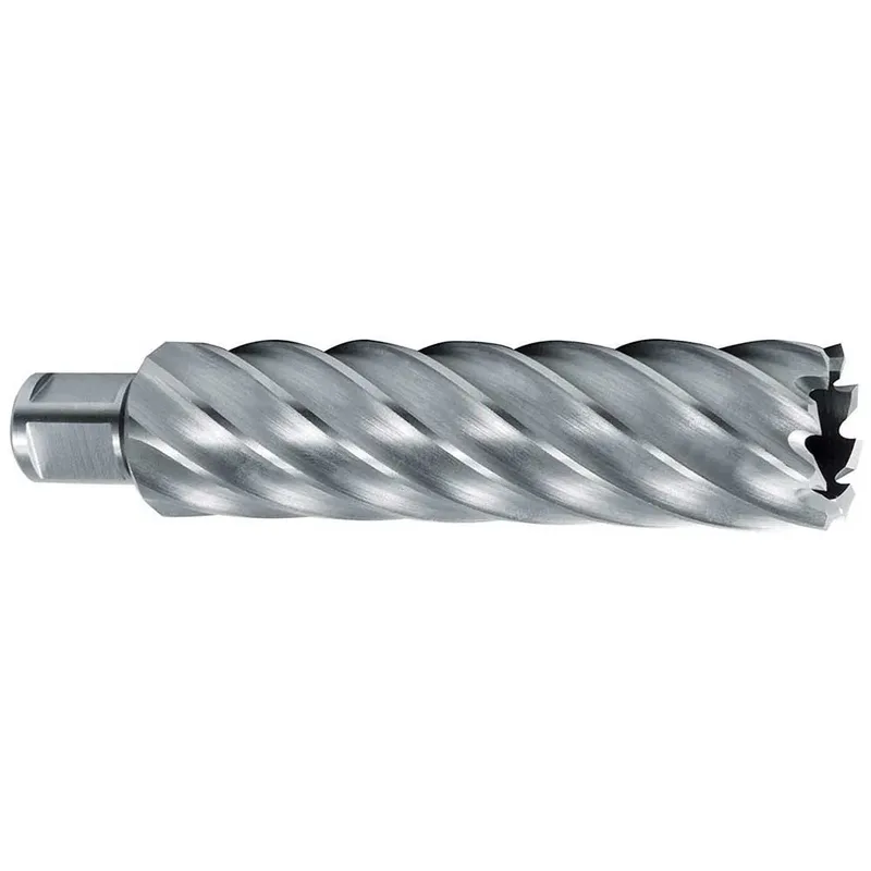 Hss Weldon Cbn 3/4´´ 110 Mm Ø 50 Mm Holle Boor by Ruko – product image