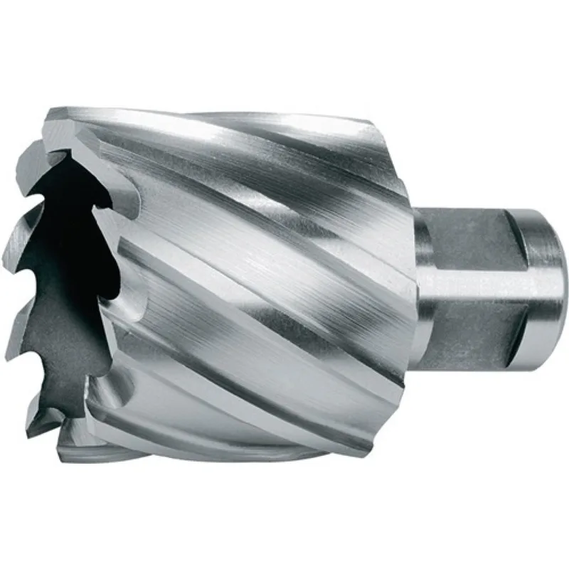 Kernbohrer D.22mm HSS Schnitt-T. 30mm Weldon RUKO van Ruko – productafbeelding