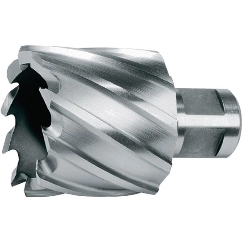 Kernbohrer D.38mm HSS Schnitt-T. 30mm Weldon RUKO från Ruko – produktbild