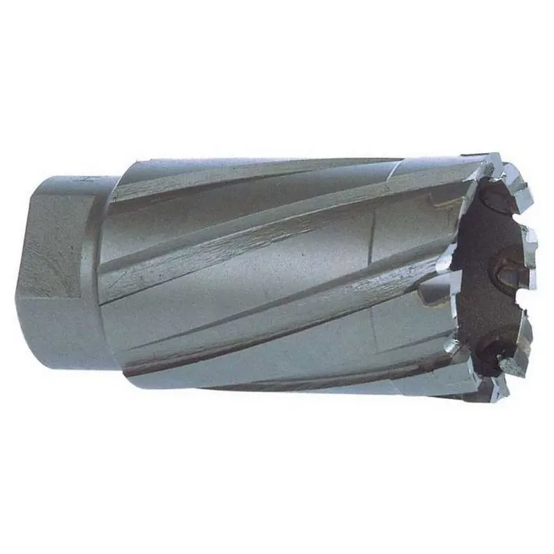 Ruko 108012 Cm2/cm3 Ø 12 Mm Holle Boor by Ruko – product image