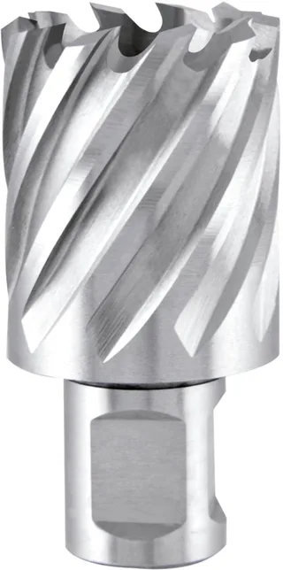 RUKO 108219 Kernboor 19 mm 1 stuk(s) by Ruko – product image 1 of 2
