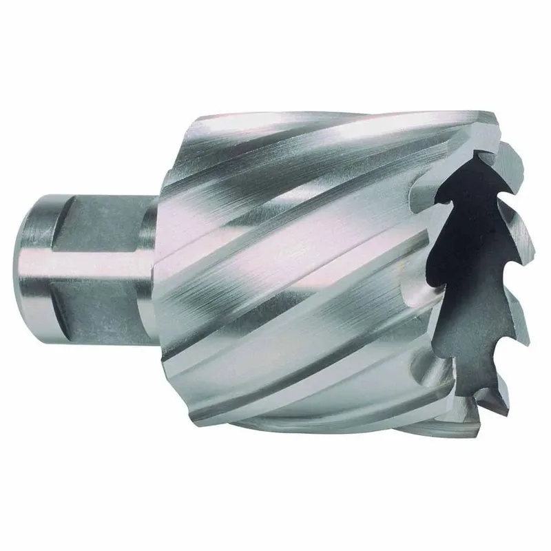 Ruko 108229e Hss-co 5 Cobalto Weldon Ø 29 Mm Holle Boor by Ruko – product image