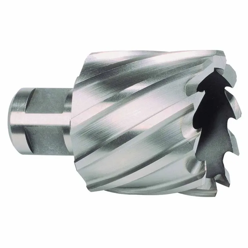 Ruko 108255 Hss Weldon 30 Mm Ø 55 Mm Holle Boor by Ruko – product image