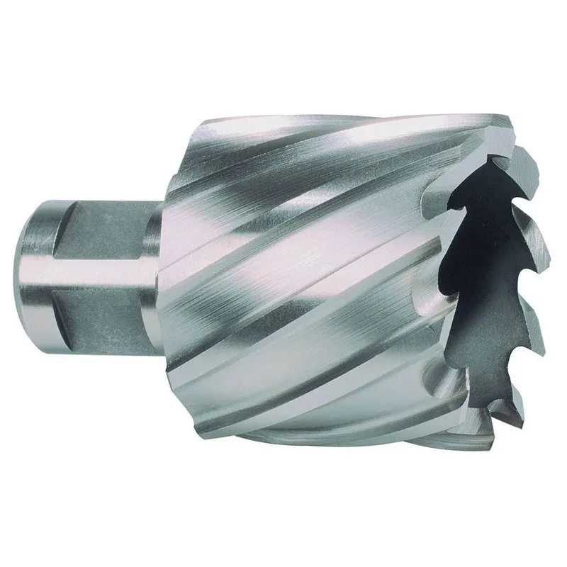 Ruko 108260e Hss-co 5 Cobalto Weldon Ø 60 Mm Holle Boor by Ruko – product image