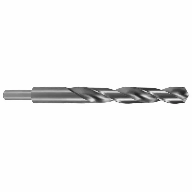 Ruko 2004120 Din 338 N Hss Ø 12.0 Mm Holzbohrer de Ruko – image du produit 1 sur 2